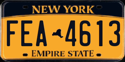 NY license plate FEA4613