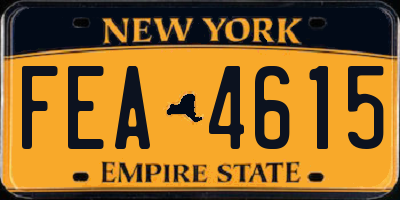 NY license plate FEA4615