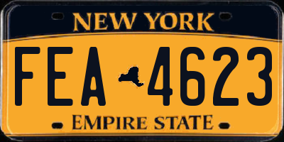 NY license plate FEA4623
