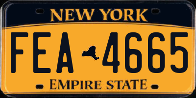 NY license plate FEA4665