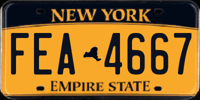 NY license plate FEA4667