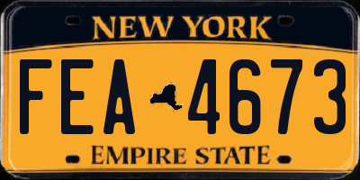 NY license plate FEA4673