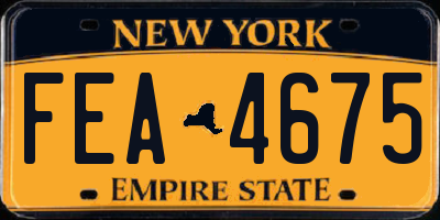 NY license plate FEA4675