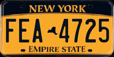 NY license plate FEA4725