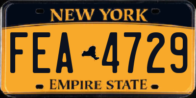 NY license plate FEA4729