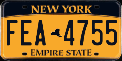 NY license plate FEA4755