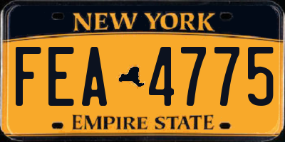 NY license plate FEA4775