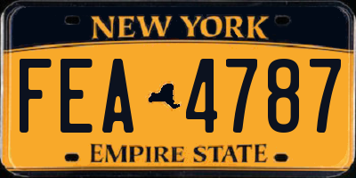 NY license plate FEA4787