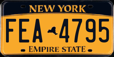 NY license plate FEA4795