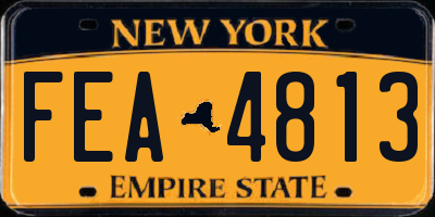 NY license plate FEA4813