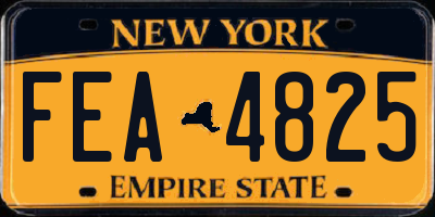 NY license plate FEA4825