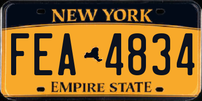 NY license plate FEA4834