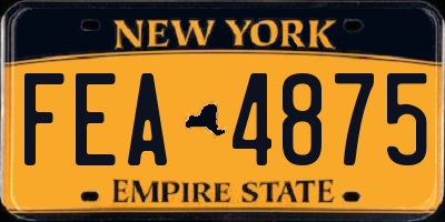 NY license plate FEA4875