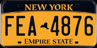 NY license plate FEA4876
