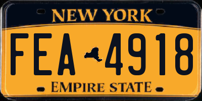 NY license plate FEA4918