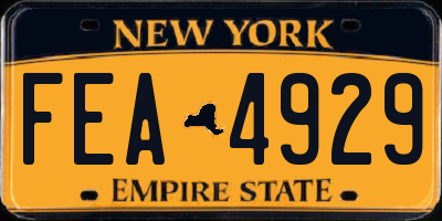 NY license plate FEA4929