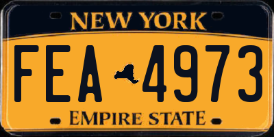 NY license plate FEA4973