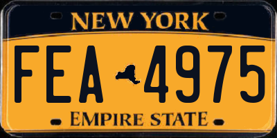 NY license plate FEA4975