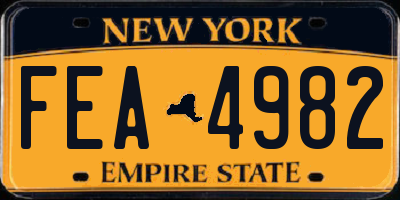 NY license plate FEA4982