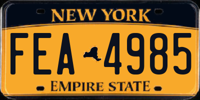 NY license plate FEA4985