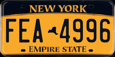 NY license plate FEA4996