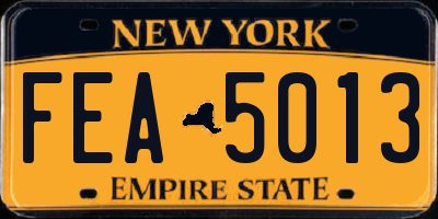 NY license plate FEA5013