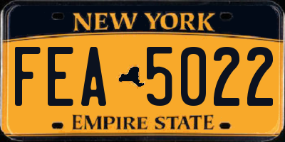 NY license plate FEA5022