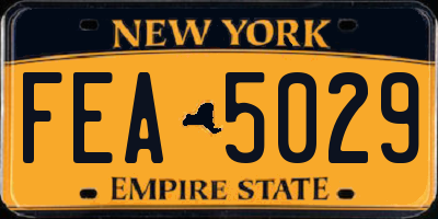 NY license plate FEA5029