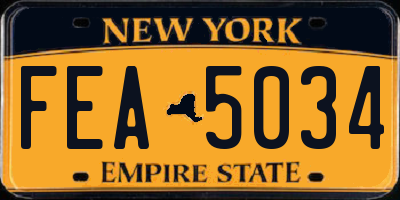 NY license plate FEA5034