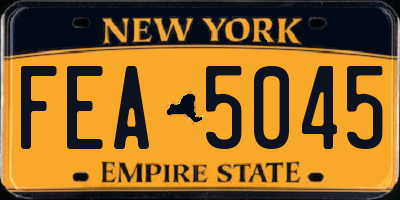 NY license plate FEA5045