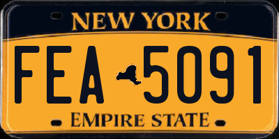 NY license plate FEA5091