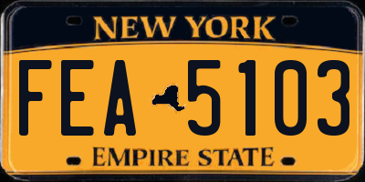 NY license plate FEA5103