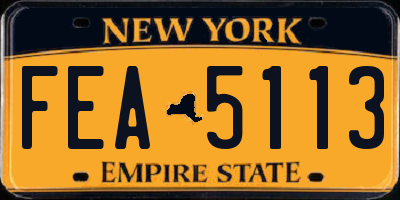 NY license plate FEA5113
