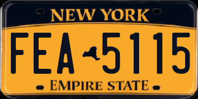 NY license plate FEA5115