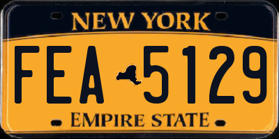 NY license plate FEA5129