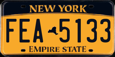 NY license plate FEA5133
