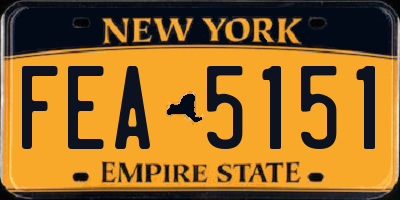 NY license plate FEA5151