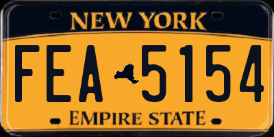 NY license plate FEA5154