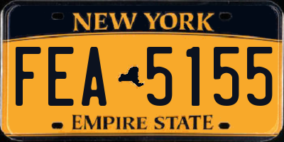 NY license plate FEA5155