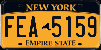 NY license plate FEA5159