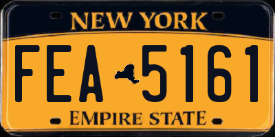 NY license plate FEA5161