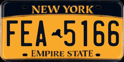 NY license plate FEA5166
