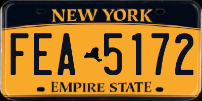 NY license plate FEA5172