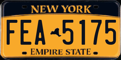 NY license plate FEA5175