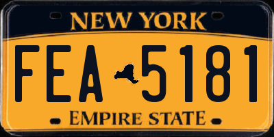 NY license plate FEA5181