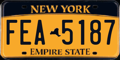 NY license plate FEA5187