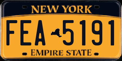 NY license plate FEA5191