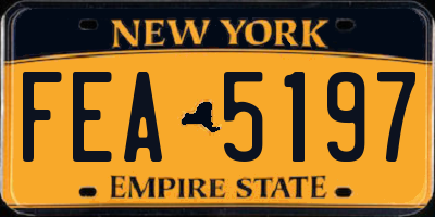 NY license plate FEA5197
