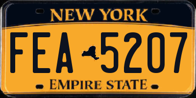 NY license plate FEA5207