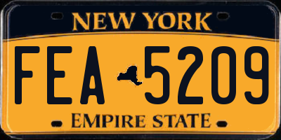 NY license plate FEA5209